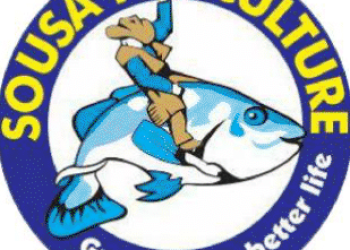 sousa